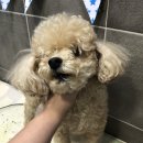 토곡동물병원 이미지