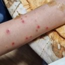 이비엠한의원 이미지