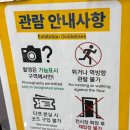 맨 | [부산 서면] 체인소맨 전시회 후기 부산서면 덕스