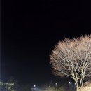 비콘힐스 골프클럽 | [홍천] 야간 라이트 밝은 가성비 홍천 골프장, 비콘힐스 골프클럽 #2511