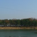 솔밭 1994 이미지