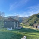 동원목장 이미지