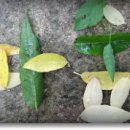 모악산공영주차장(중인리) 이미지