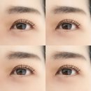 구지로L 이미지