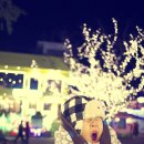 고태영 카카오 검색결과