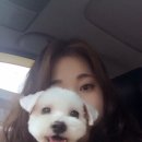 어여쁘개 이미지