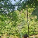 하얀여울민박 이미지