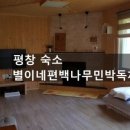 별이네 편백나무 독채 네이버블로그
