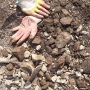 옥토하우스 이미지