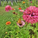 썬스타골프 이미지