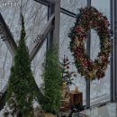 3042 | 바스타미 추천 화성 카페 맛집 휴무일 주차 리뷰 안내