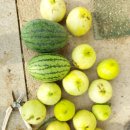 산우 농장 이미지