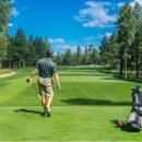 우연스크린골프 이미지