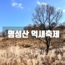 명성산 등산로 | 포천 명성산 억새축제 | 명성산 등산코스 주차장 단풍 현황