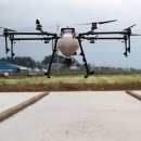 농업기술원 앞 이미지