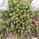 기린초등학교 이미지