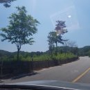 금병산 누리길 | 세종 마운틴뷰 까페 소소루 후기