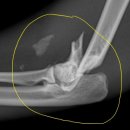 가경 나음 동물병원 이미지