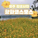 힐링이돼지 이미지