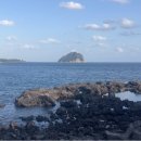 자구리공원 공중화장실 이미지