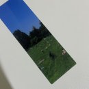 파이오컴 | 9. 웃기는 짬뽕