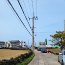 곽지 1645 이미지