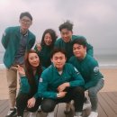 왈스반려견교육