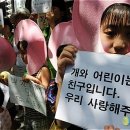 둥글이네 이미지