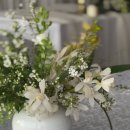 [Wedding] 롯데호텔 도림 스몰웨딩 | 꽃장식업체 Anna party&flower 안나파티앤플라워 가격 후기