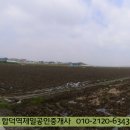 공포리 이미지