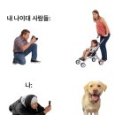 트라이쌍방울 | 랜덤일상 1