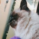 예일동물병원 이미지