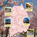 파스쿠찌김천교동DT점