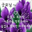 요양원에서도 노인상대 성추행을? 이미지