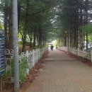 충의근린공원 네이버블로그