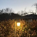 베니아펜션 이미지