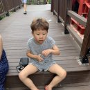하늘연캠핑장 네이버블로그