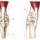 청안동물병원 이미지