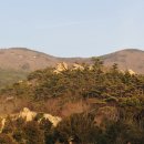 어부사시사(적) 이미지