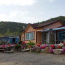 더쉼민박 이미지