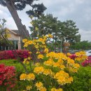 칠갑산청정한우타운 | 가정의달 가족들과 외식하기 좋은 소고기 맛집 청양 칠갑산청정한우타운