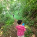 산음펜션 | 양평 산음자연휴양림 반려견 동반 1박 2일 후기(숲나들e)