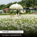 당전 | 봄나들이 가기 좋은 아산 카페 추천 6곳 정리