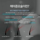 헤어 채움