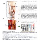 Re: 푸른희망 주마등카페지기 김혜남의사 박춘근박사와 고요스타의 다리와 허리의부자유에 지압도 무방 이미지