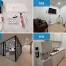 다시봄의원 티스토리