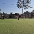 쥬니멀 | 📍 쥬니멀 동물원 방문 후기