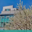 샬롬의집 | 덕양구 부모님 위한 추천 요양원 샬롬의집요양원 편안한 쉼터 추천