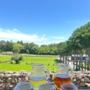 다원발전소 이미지