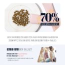 대로3-42 | 보미오라 다이어트환 디톡스환 많이 하는 질문 + 원장님 무물 /리얼후기 추가✅최대42